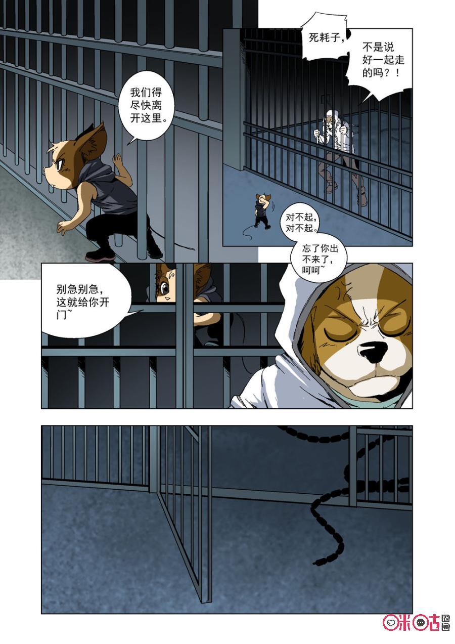 第 11 页