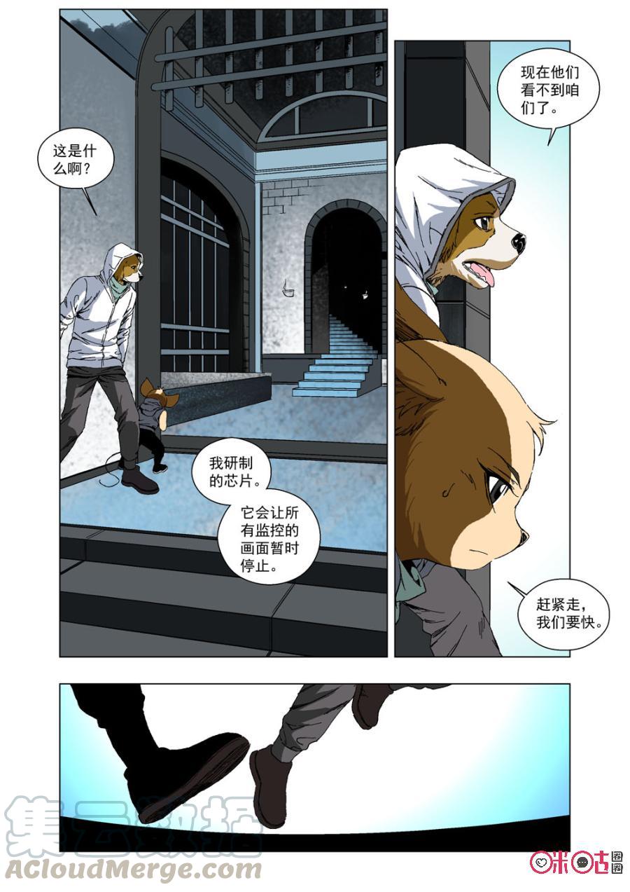 第 13 页