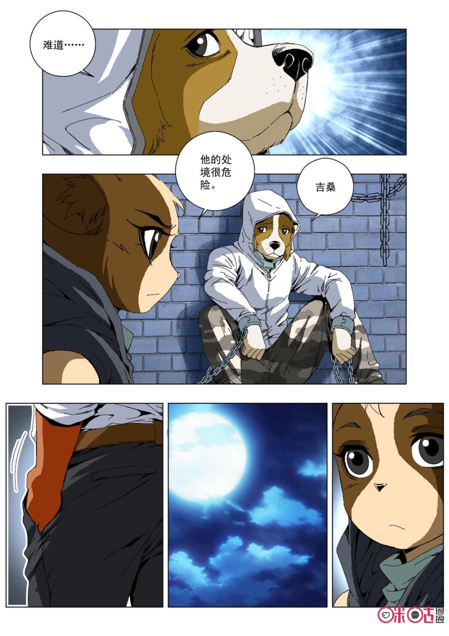第 8 页