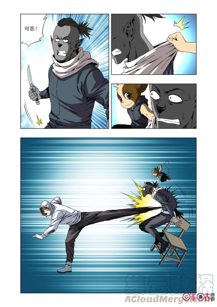 第 7 页