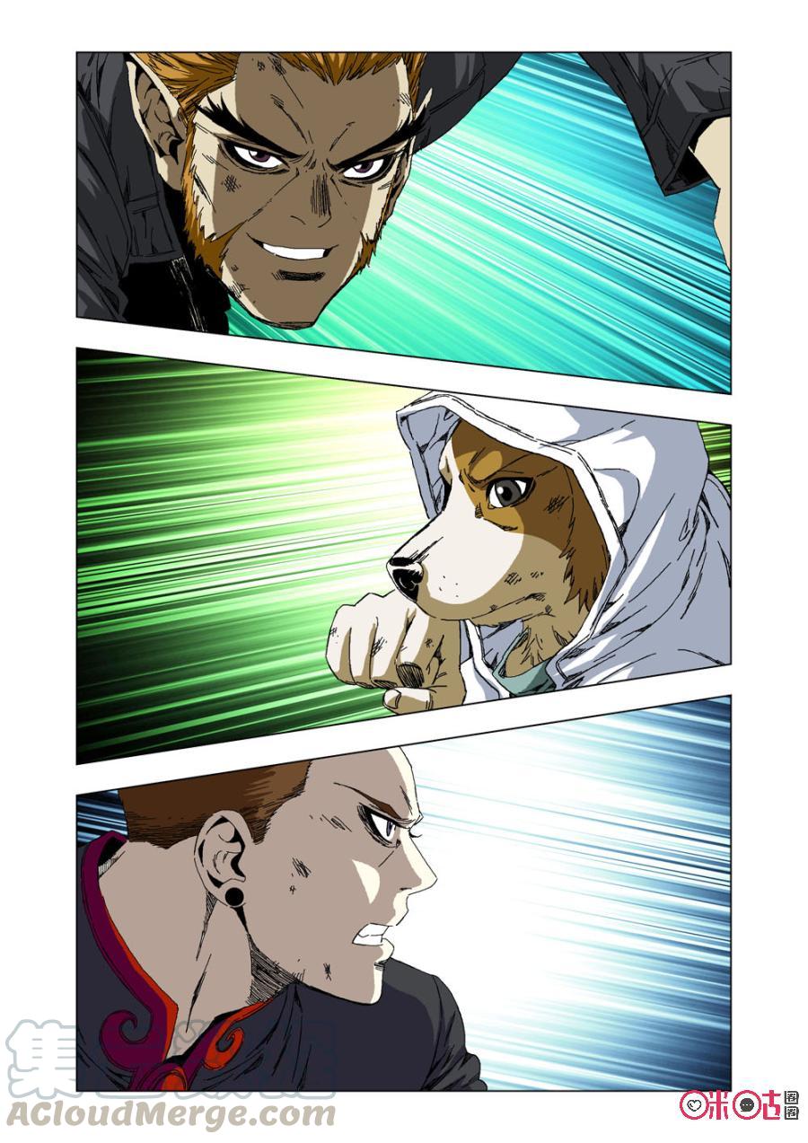 第 13 页