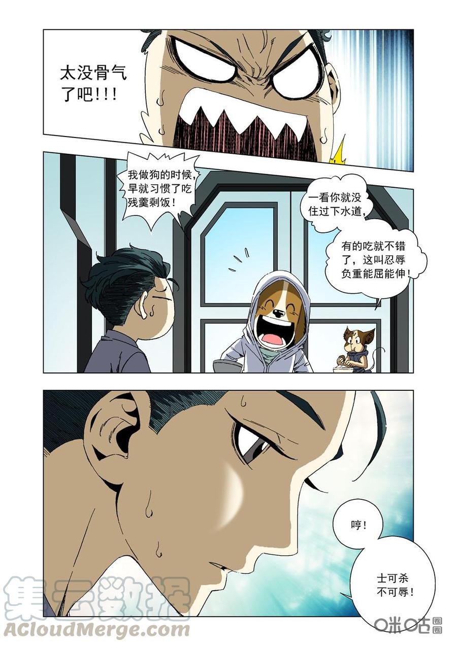 第 7 页