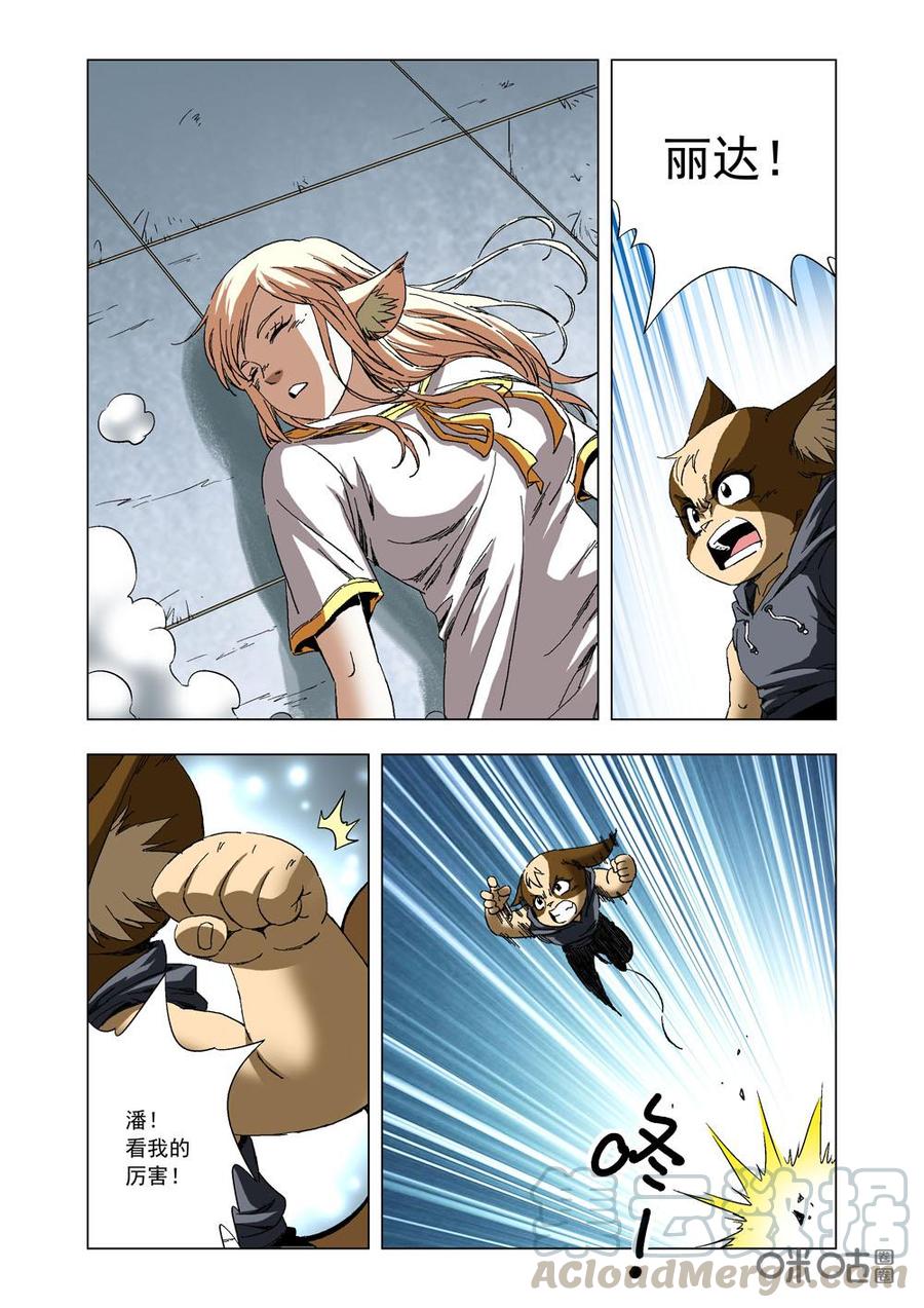 第 10 页