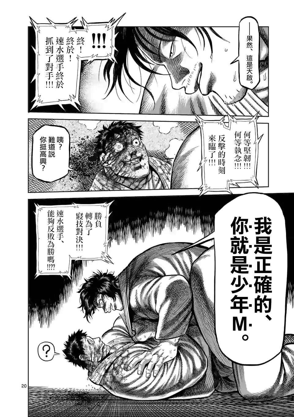第 20 页