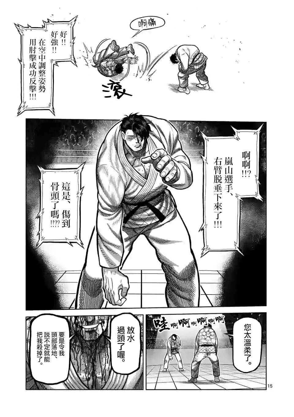 第 15 页