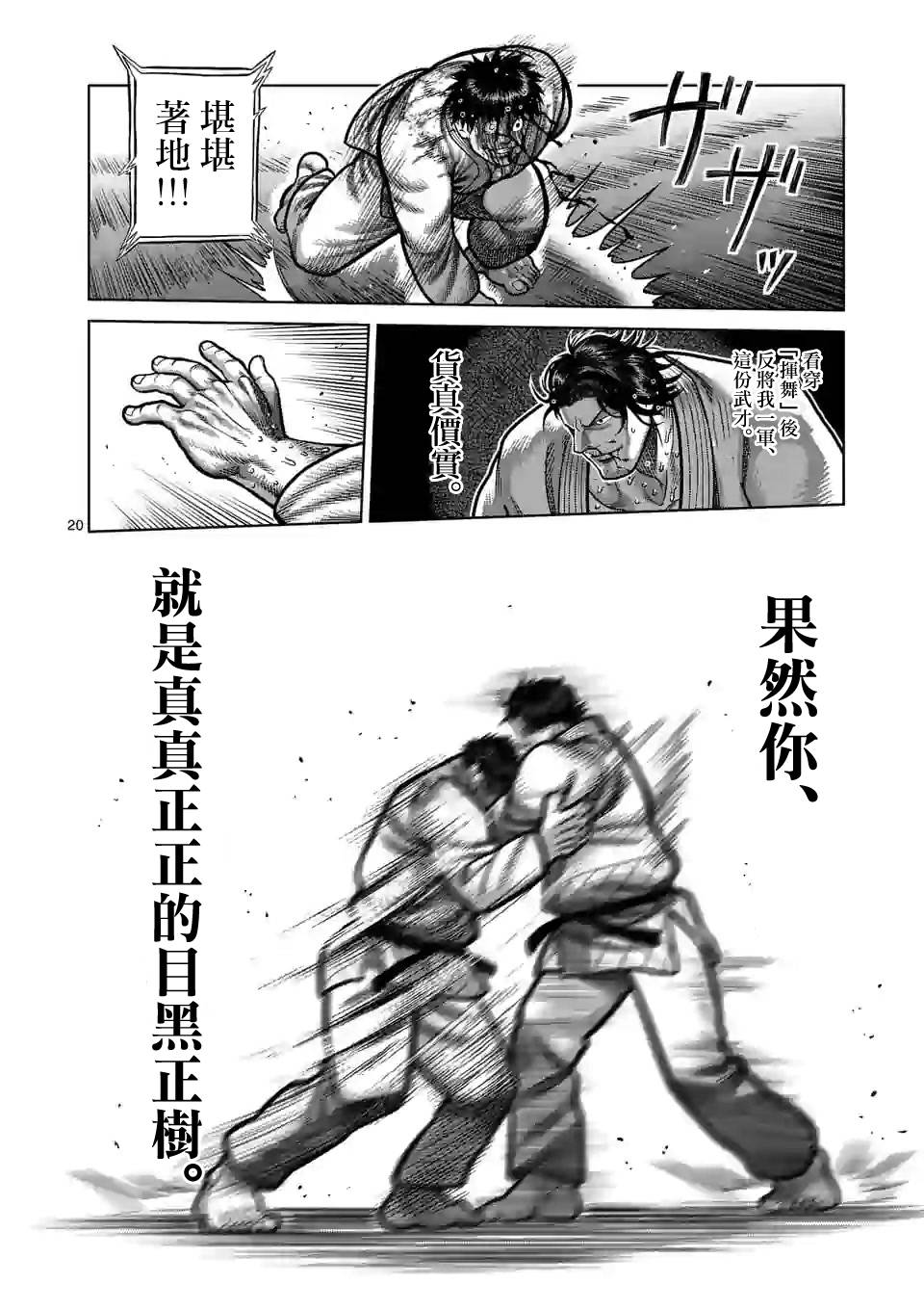 第 20 页