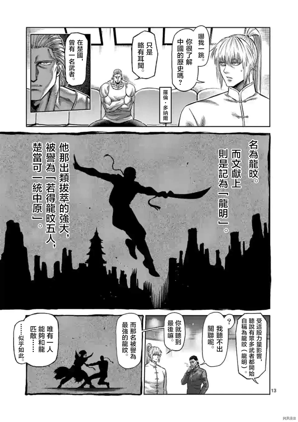 第 13 页