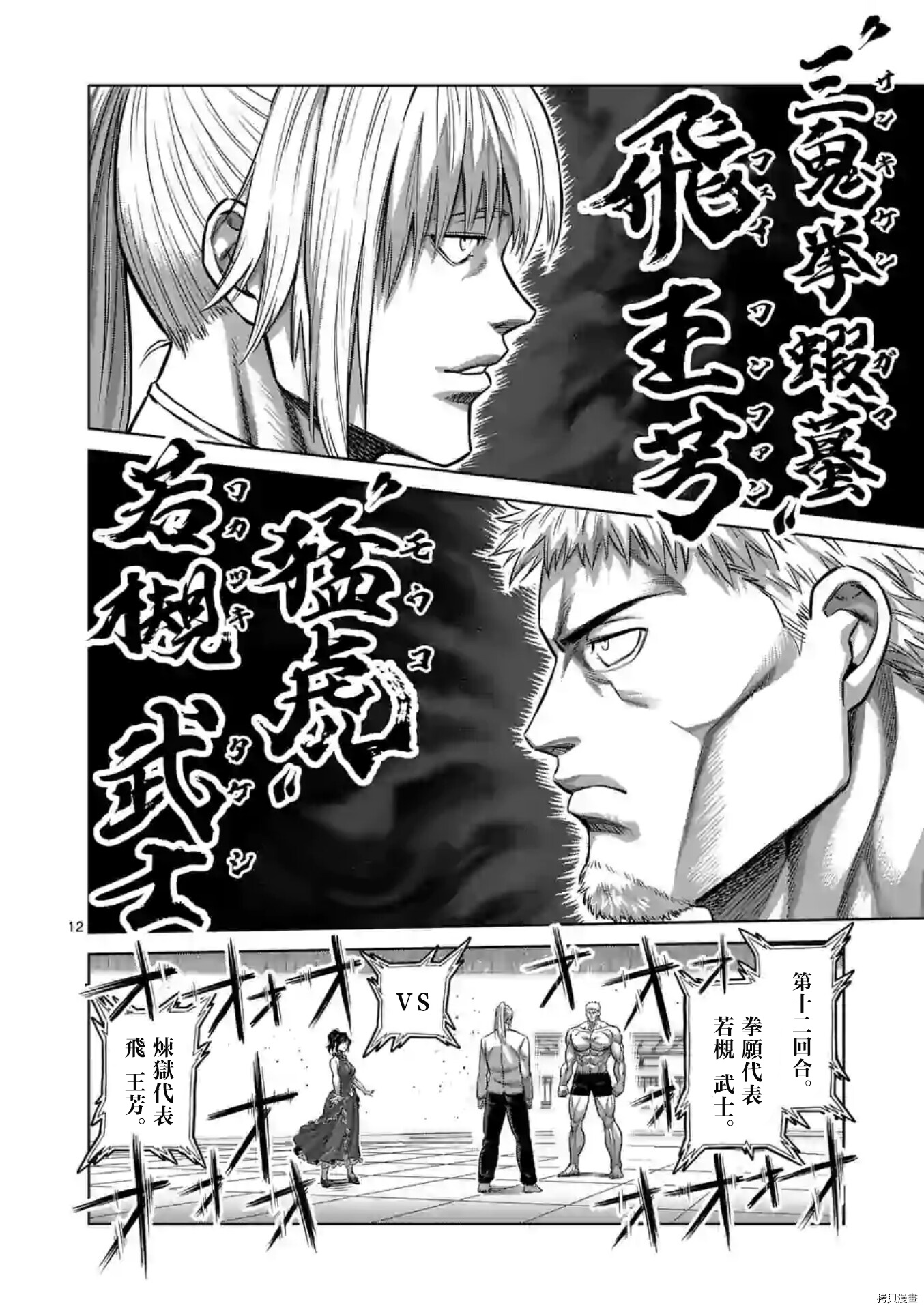 第 12 页