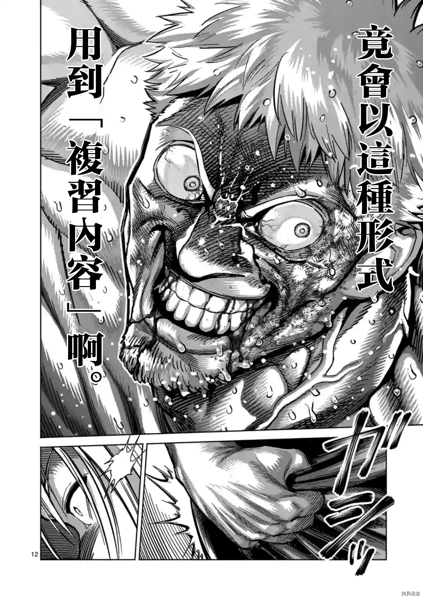 第 12 页