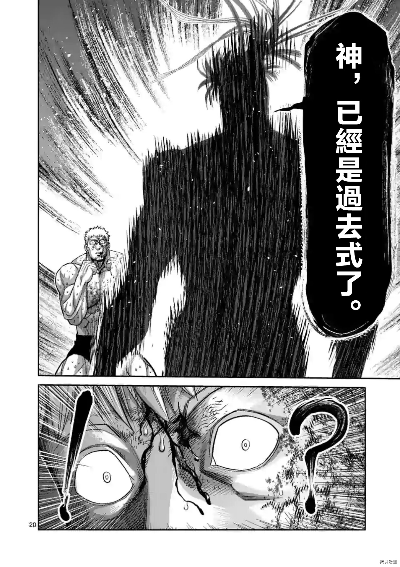 第 20 页