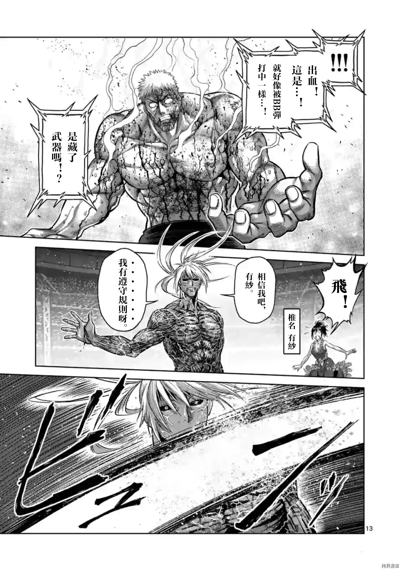 第 13 页