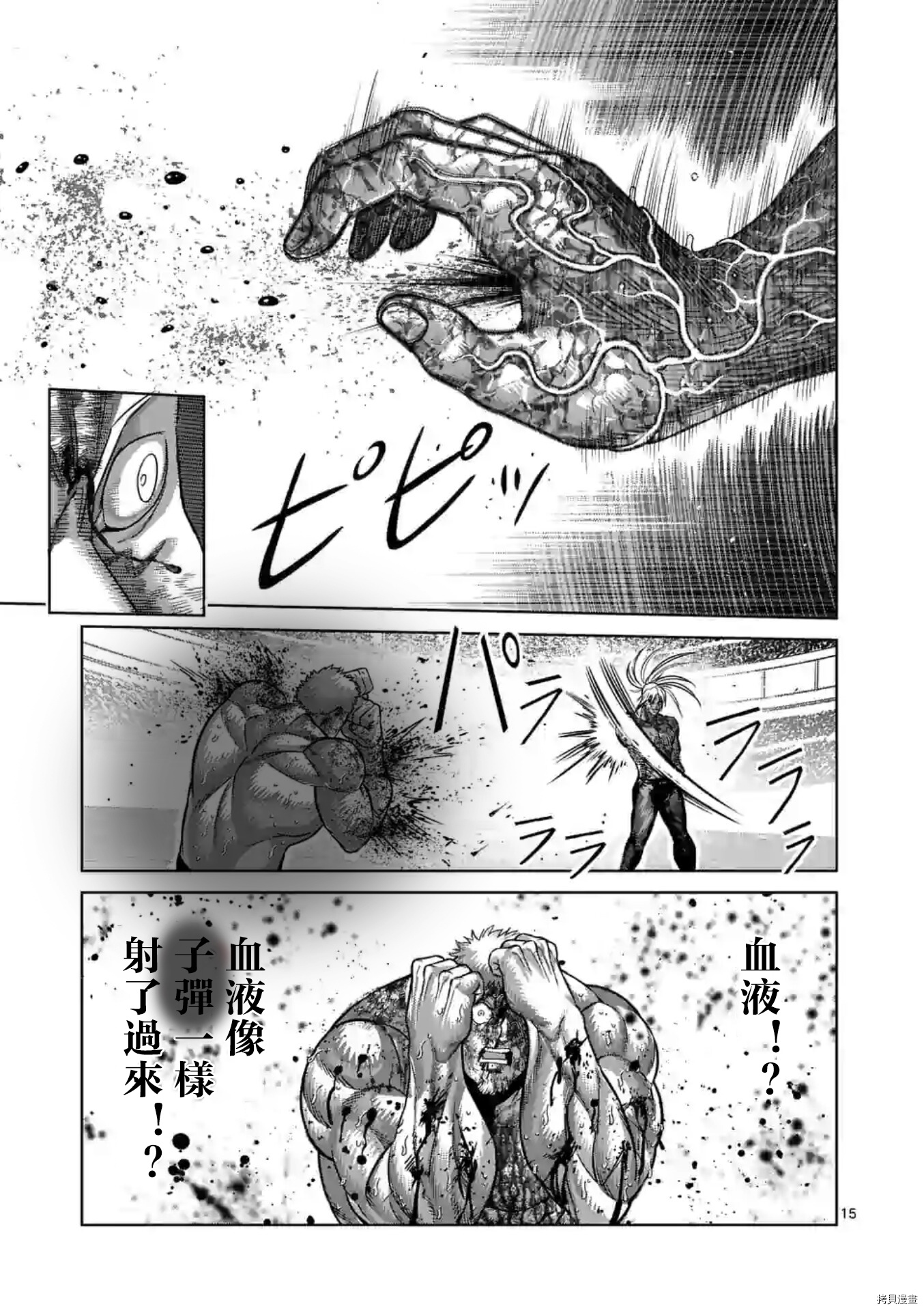 第 15 页