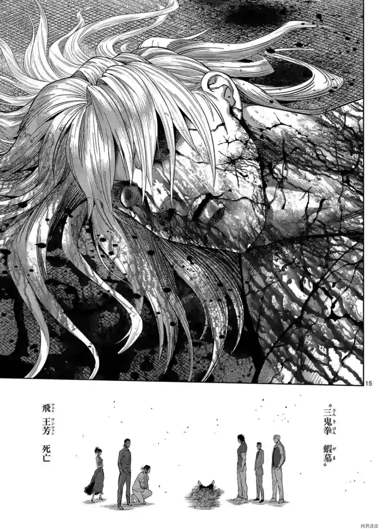 第 15 页