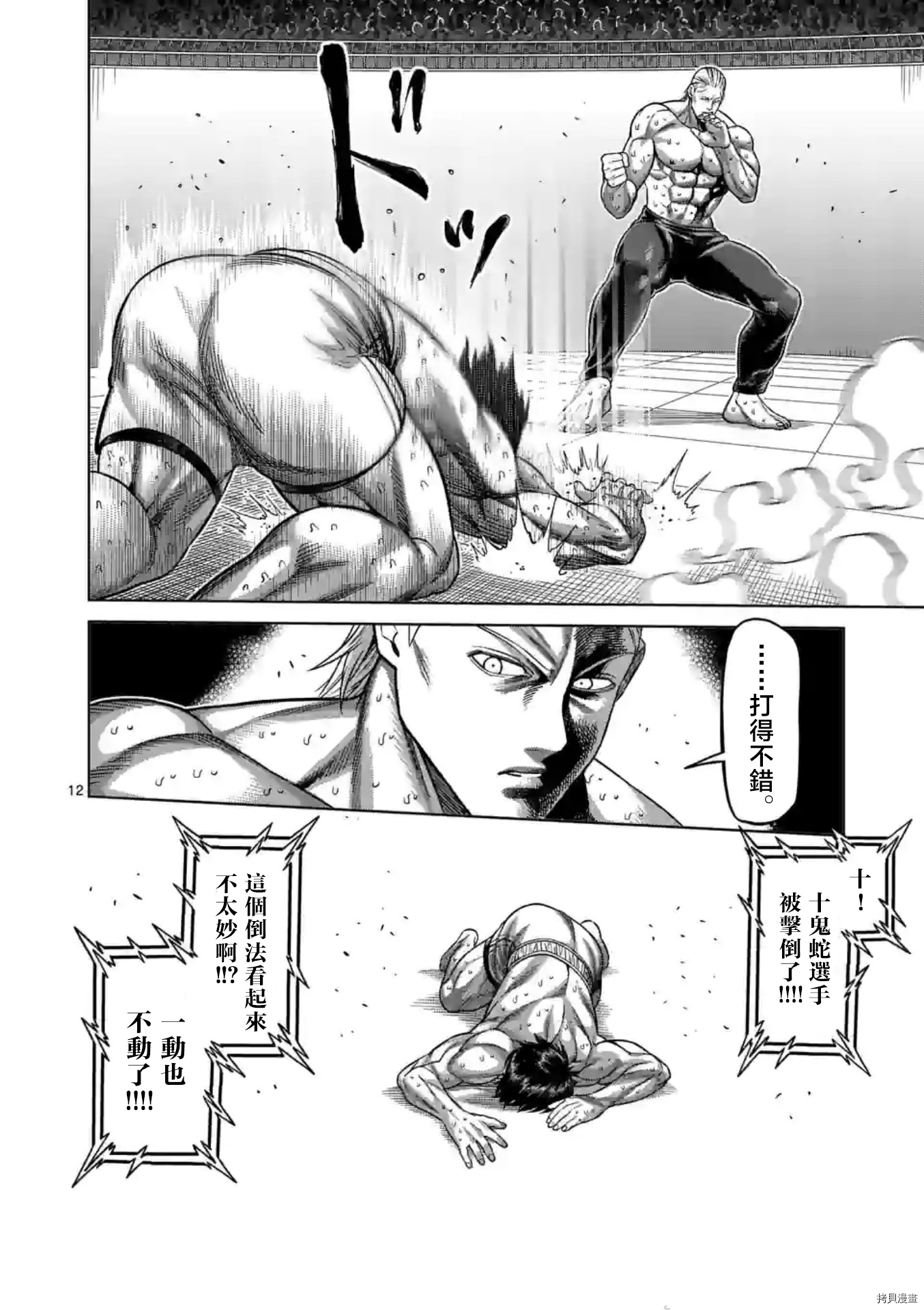 第 12 页