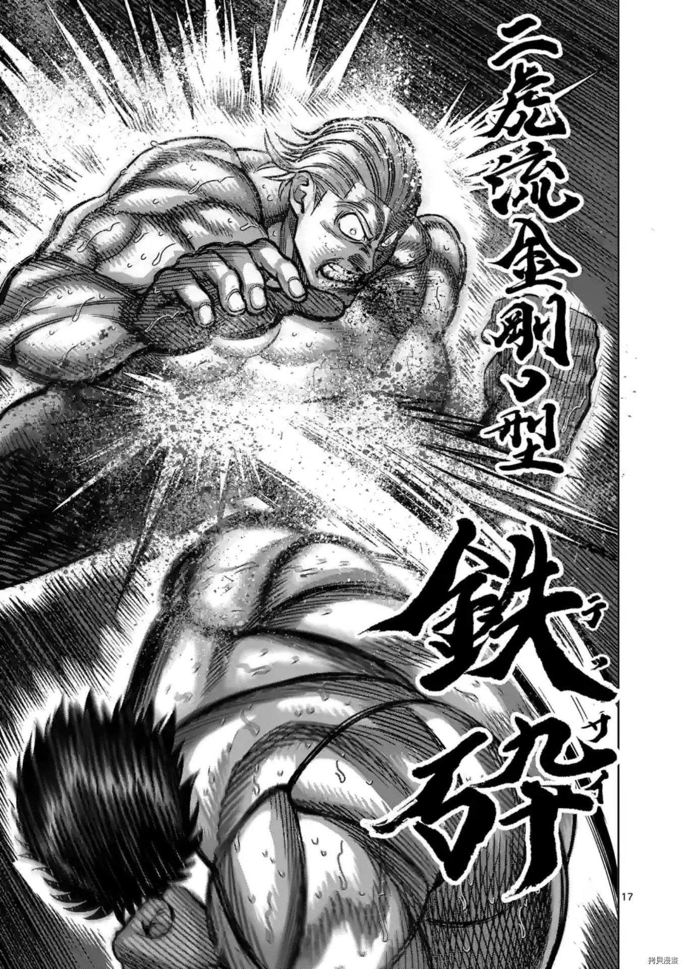第 17 页