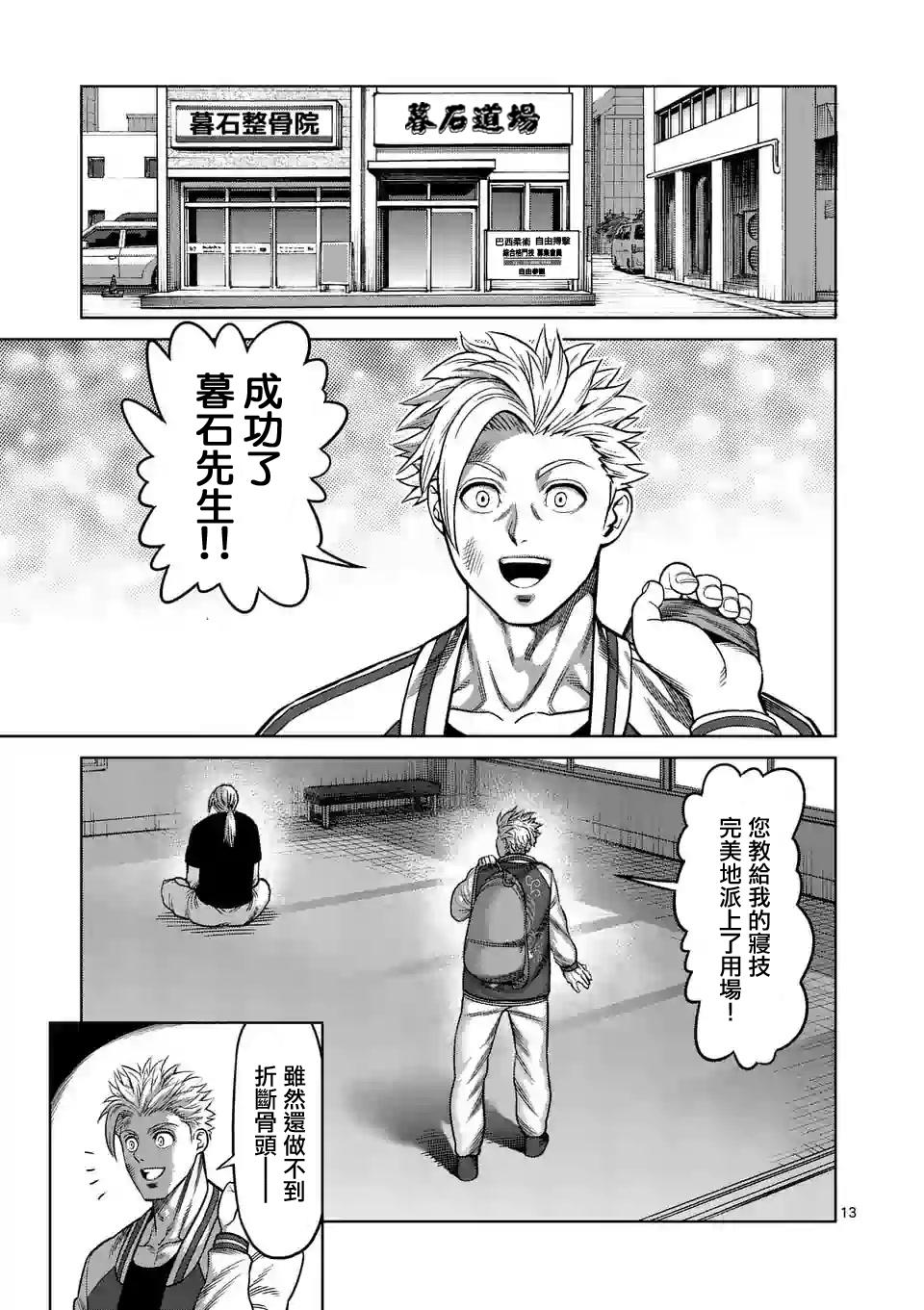 第 13 页