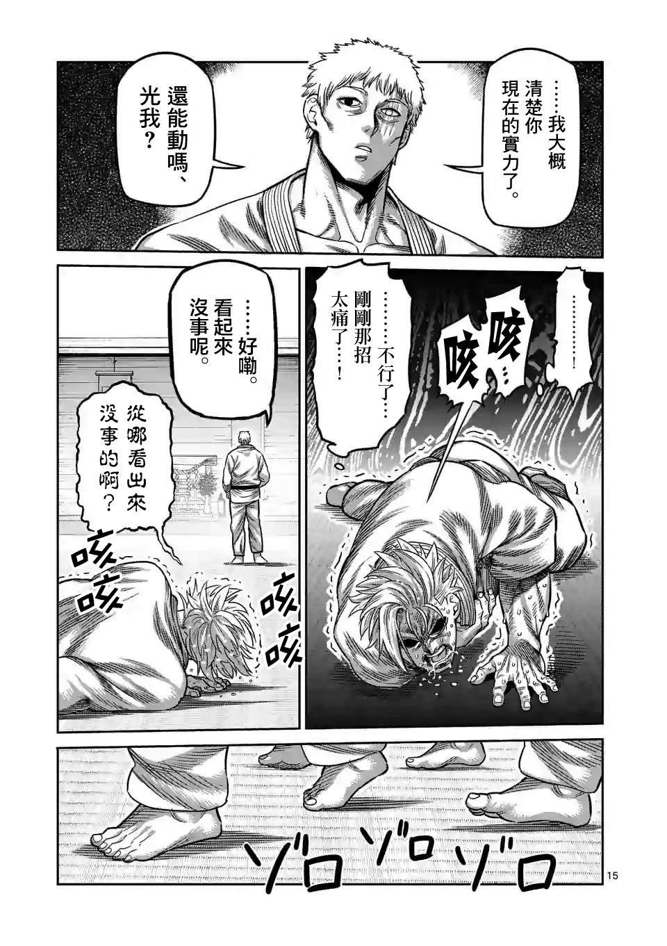 第 15 页