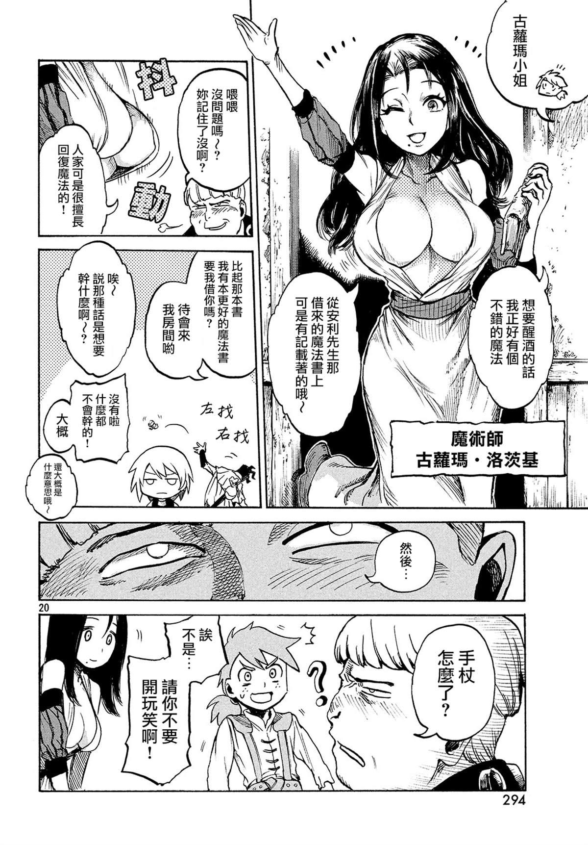 第 20 页