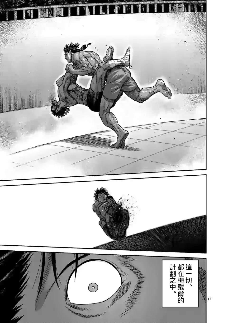 第 17 页