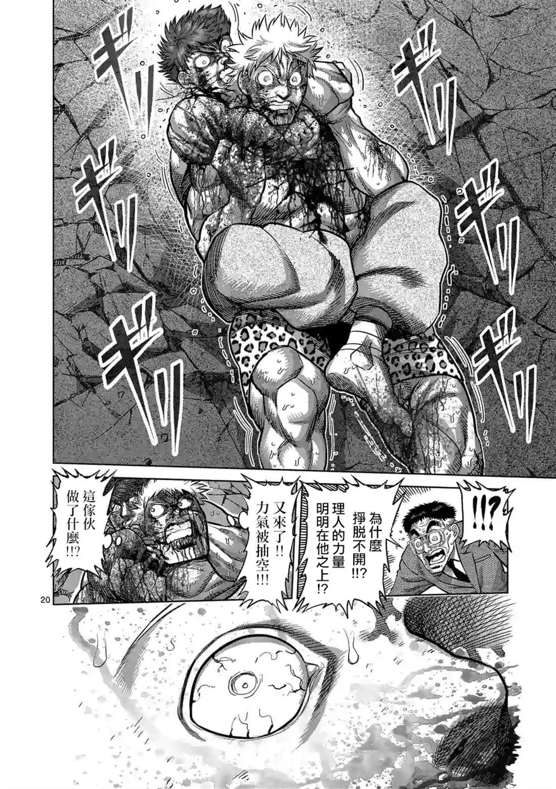 第 20 页