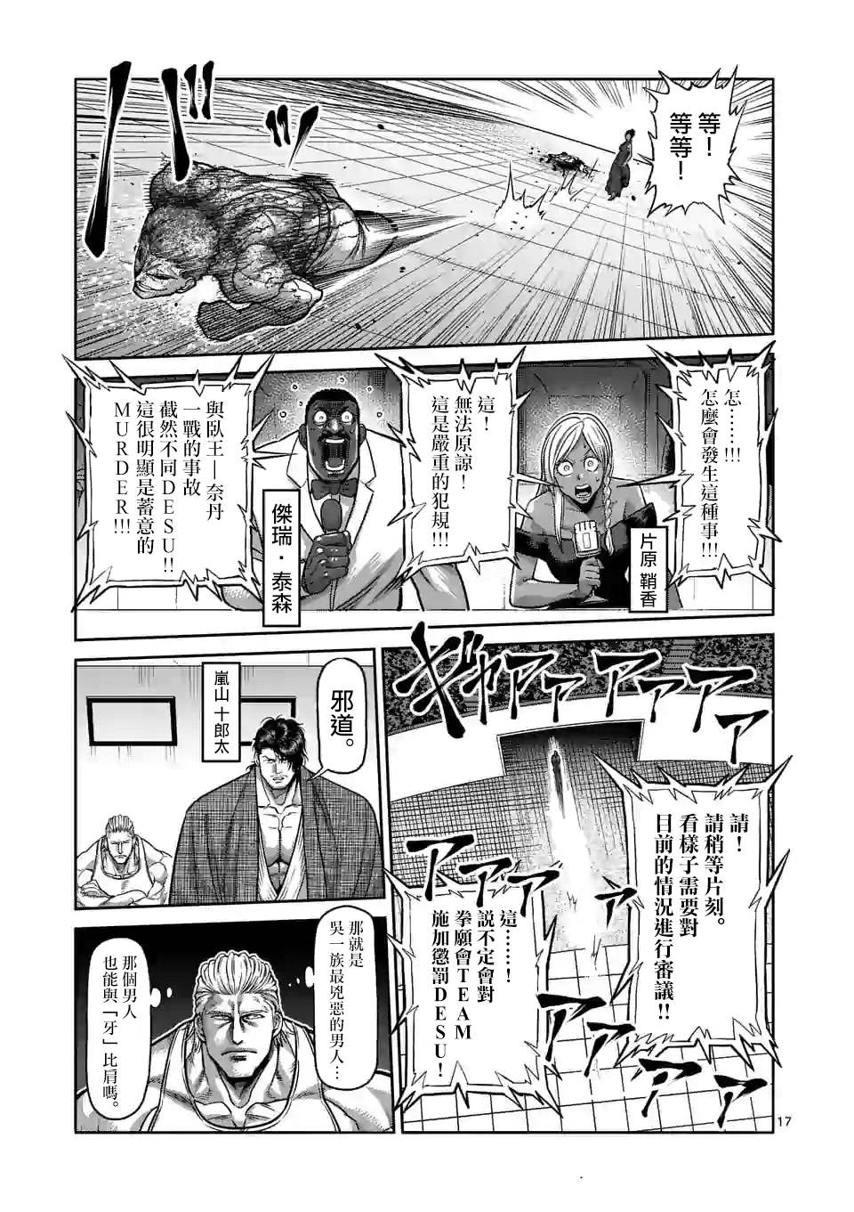第 17 页