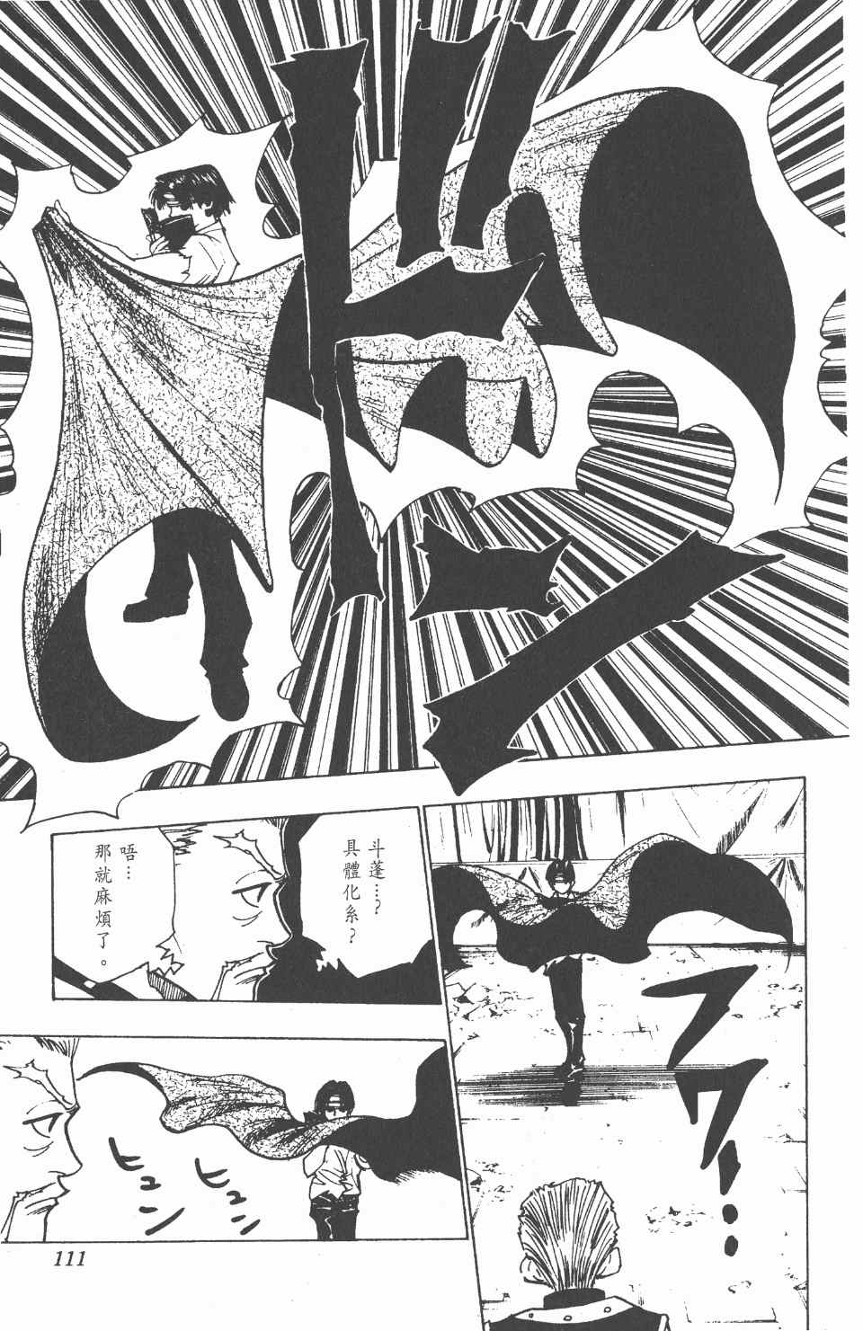 第 113 页