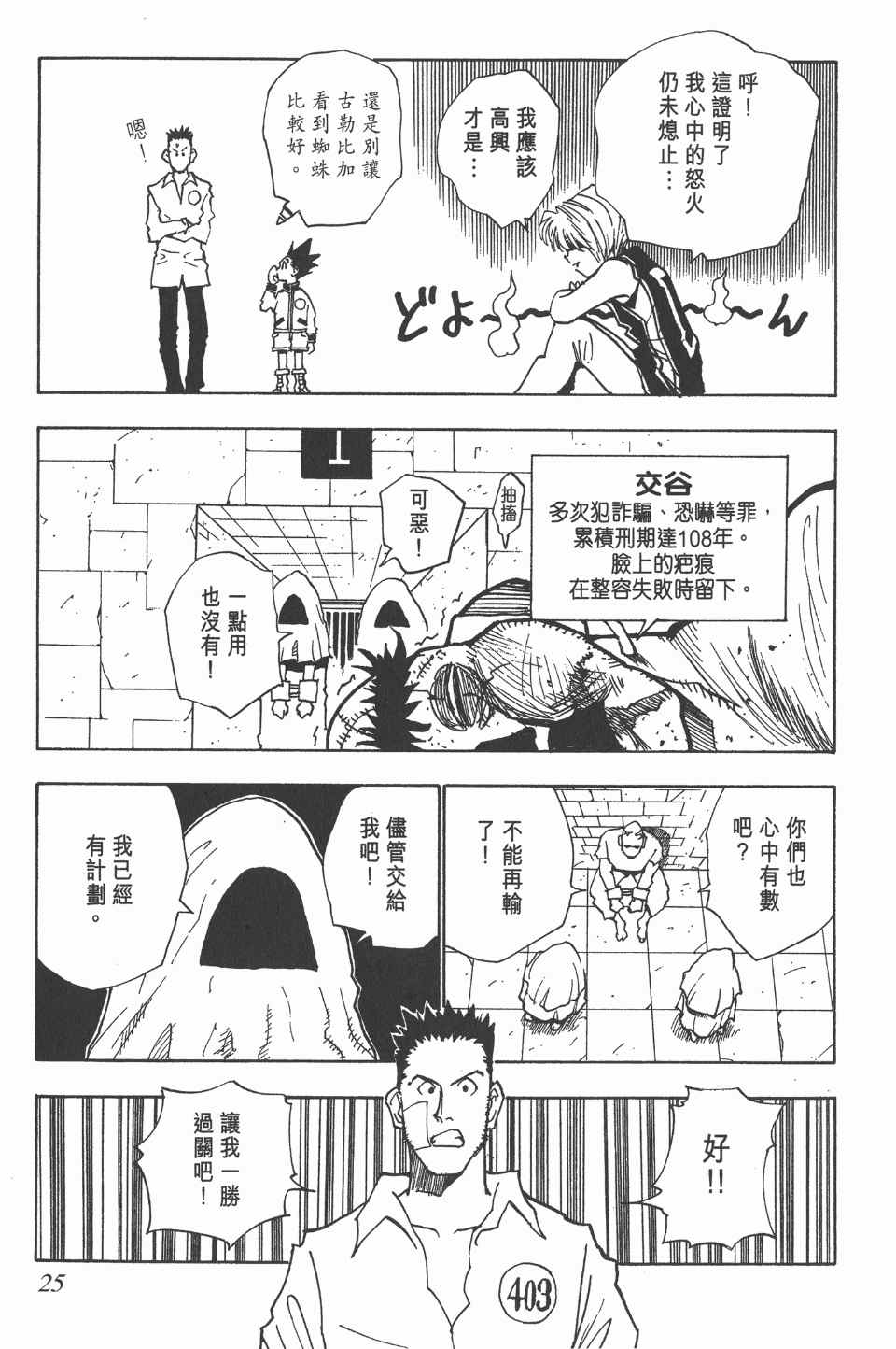 第 25 页