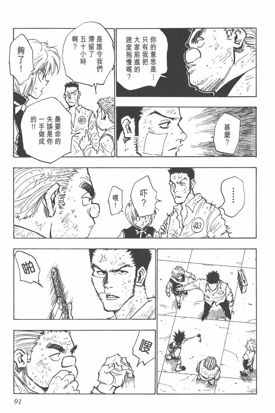 第 91 页
