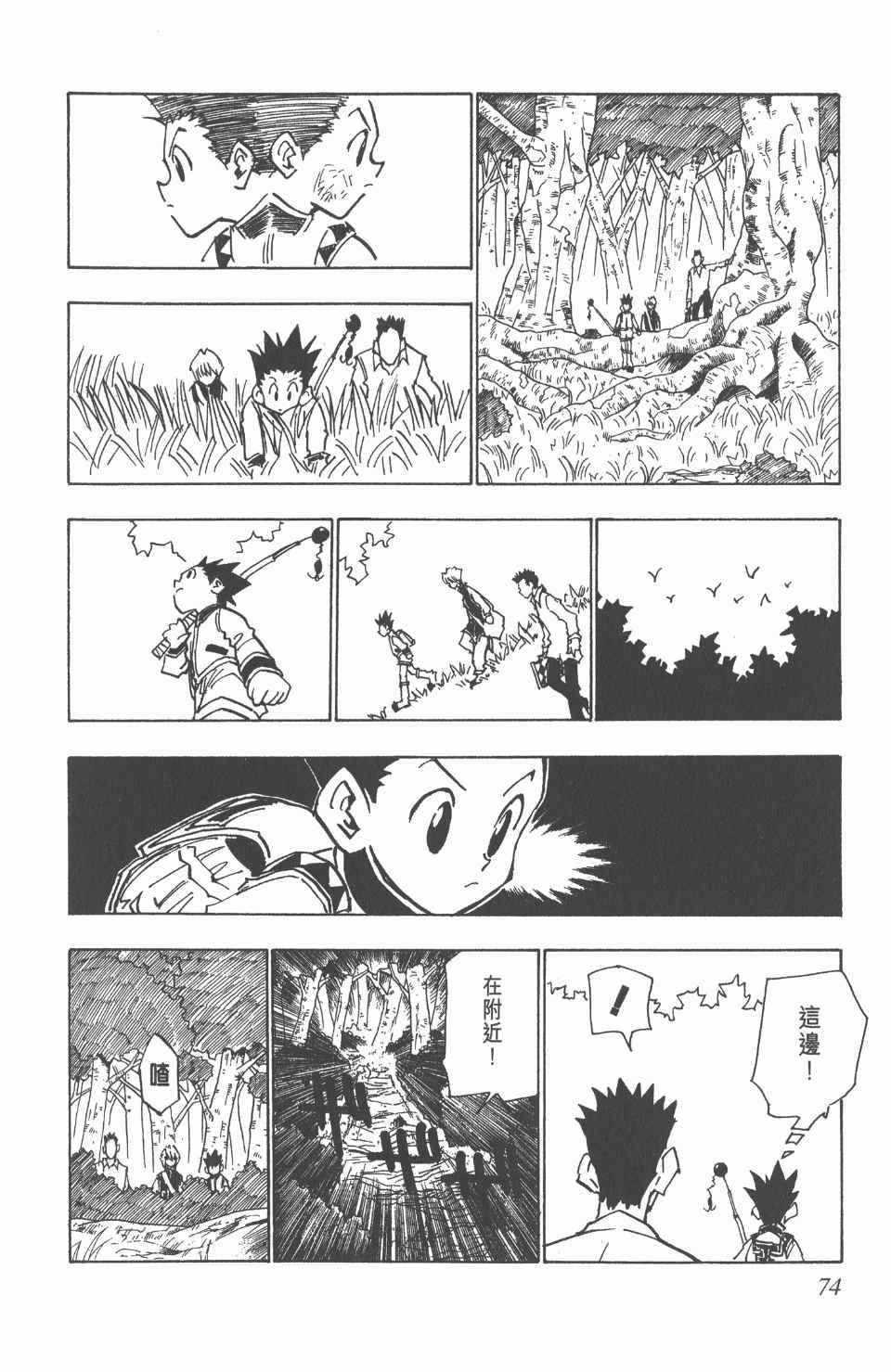 第 74 页