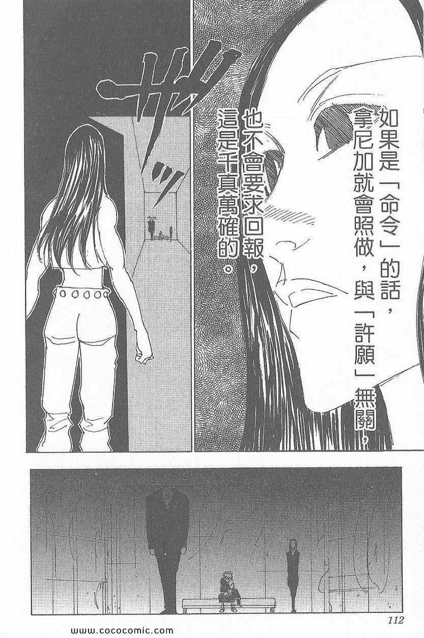 第 113 页
