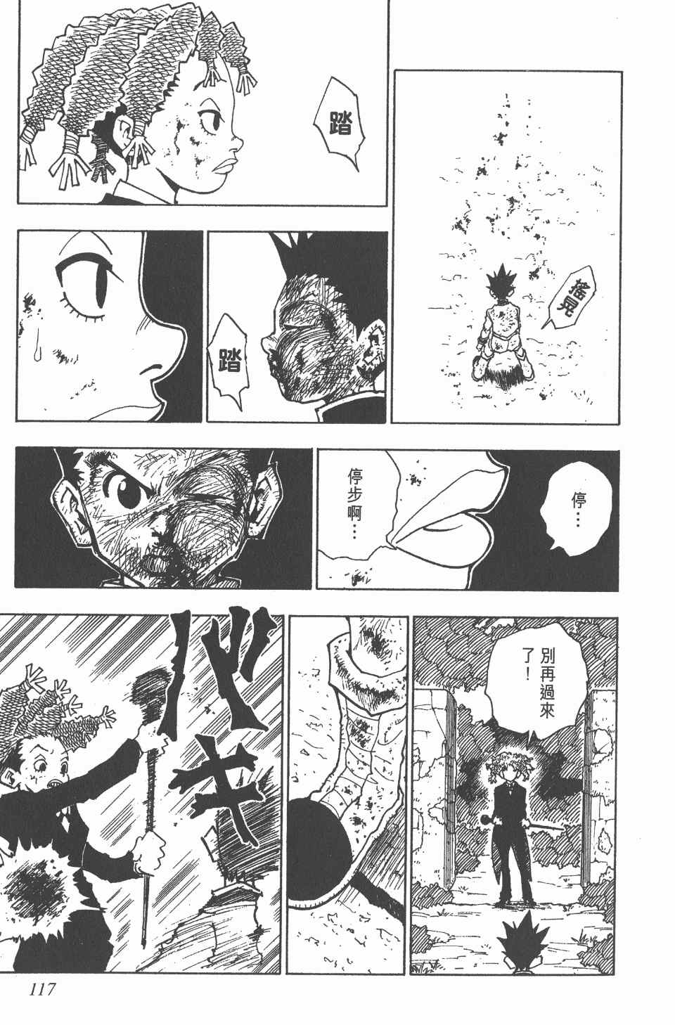 第 117 页