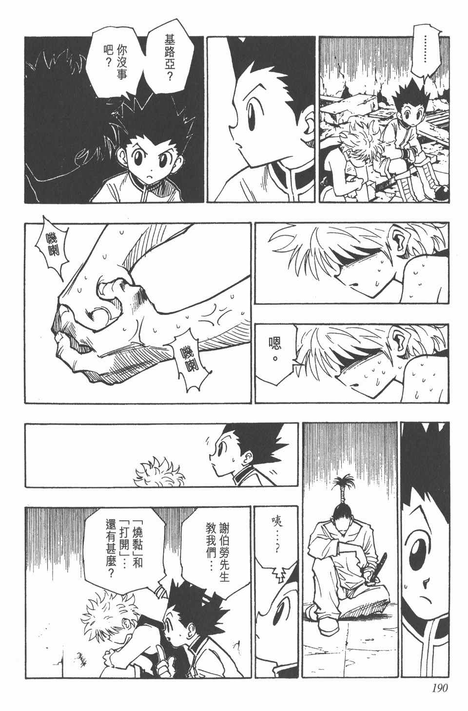 第 190 页