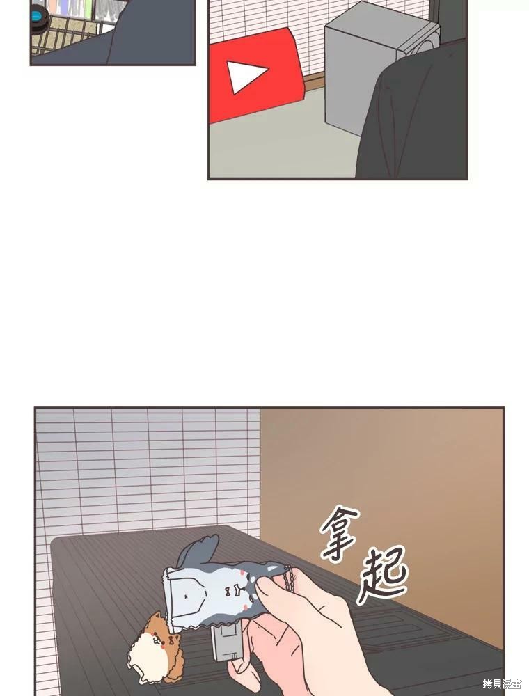 第 98 页