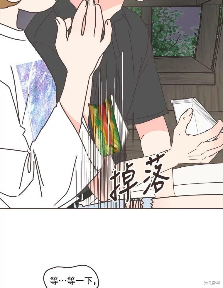 第 75 页