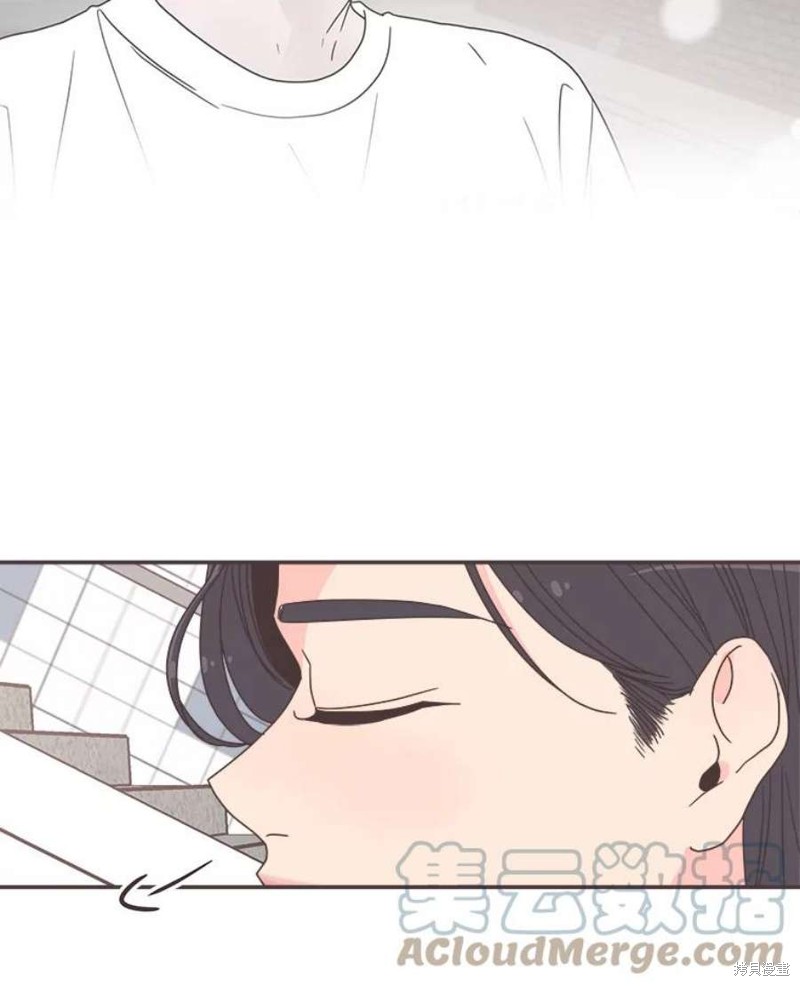 第 95 页