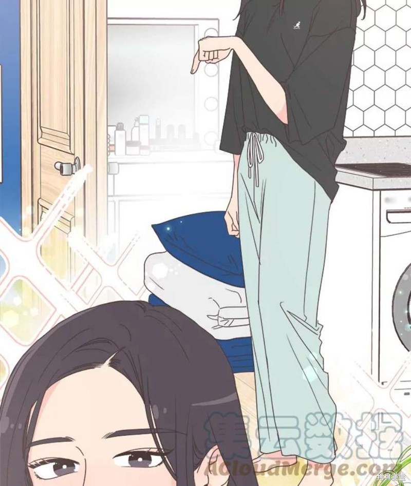 第 51 页