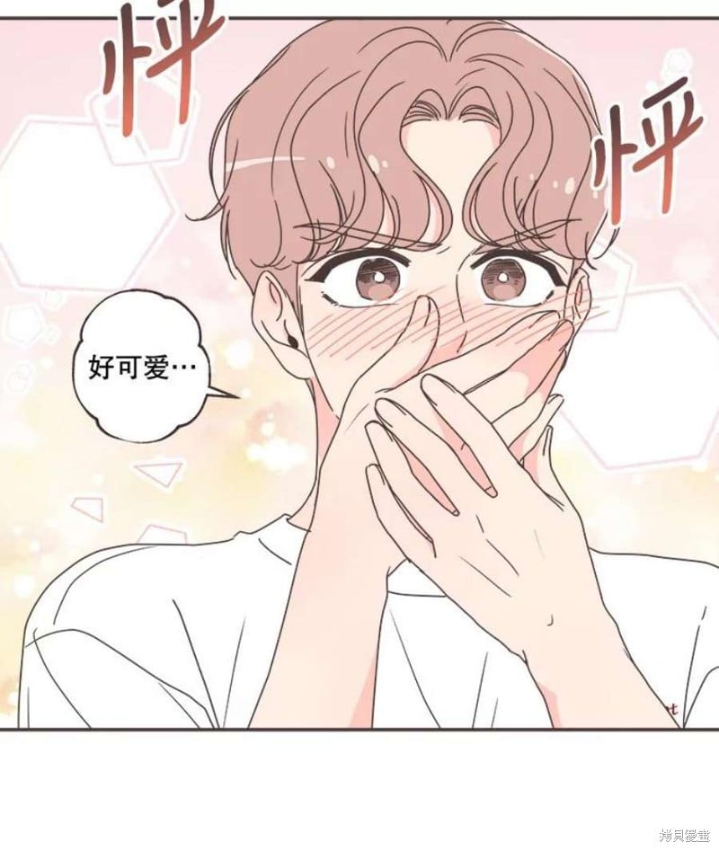 第 53 页