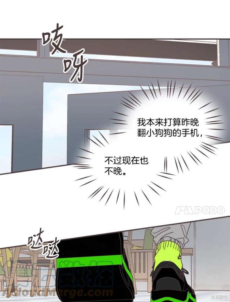 第 91 页