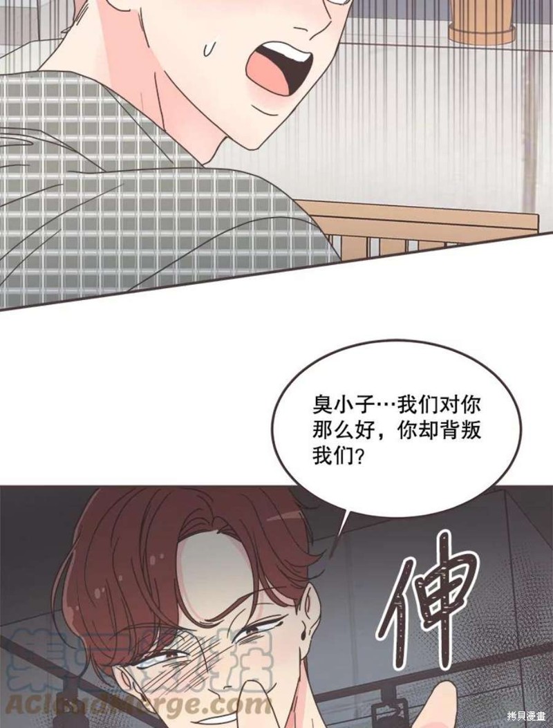 第 95 页