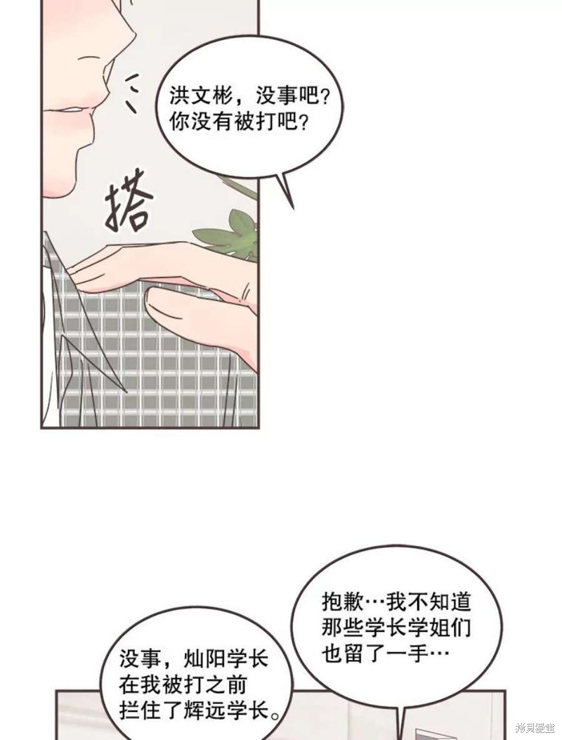 第 48 页