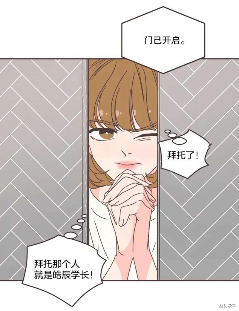 第 91 页