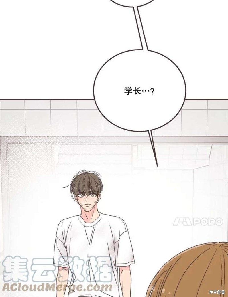 第 95 页
