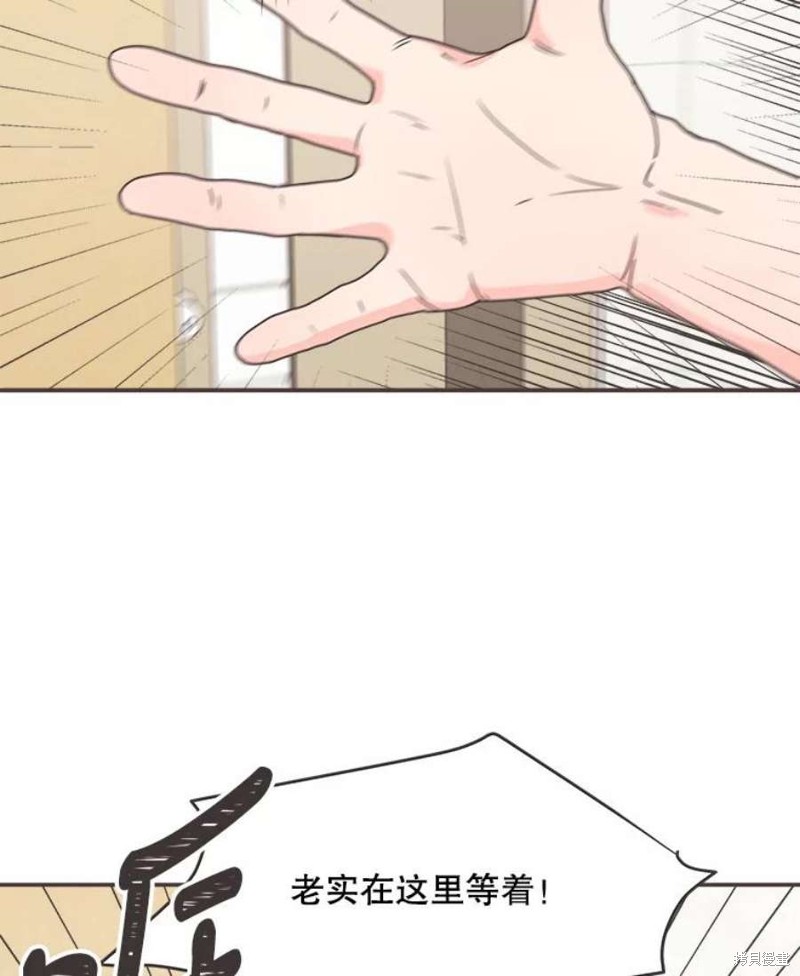 第 67 页