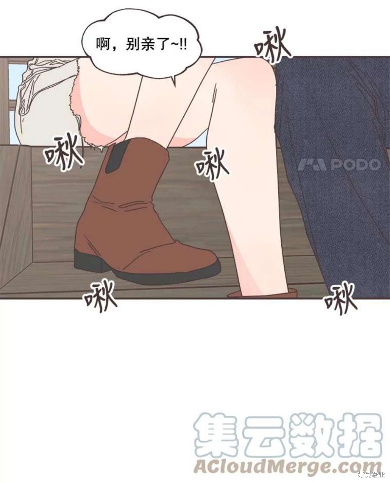 第 56 页