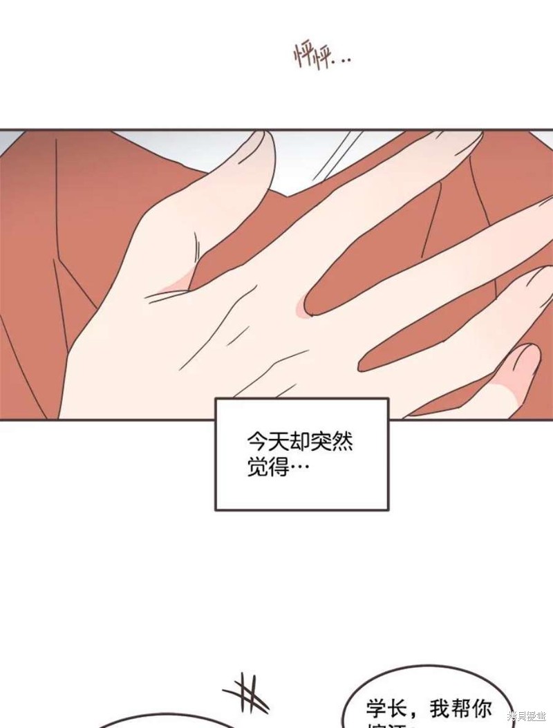 第 85 页