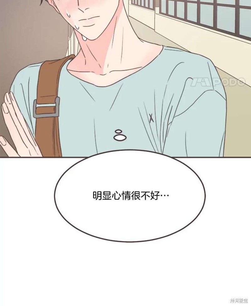 第 101 页