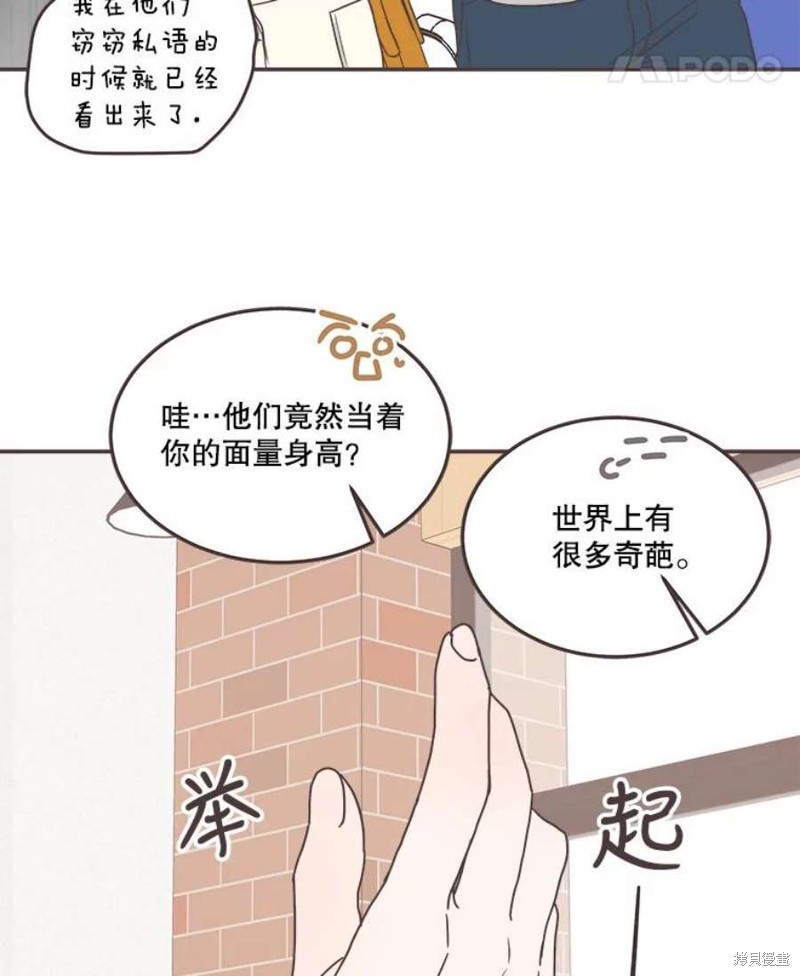 第 74 页