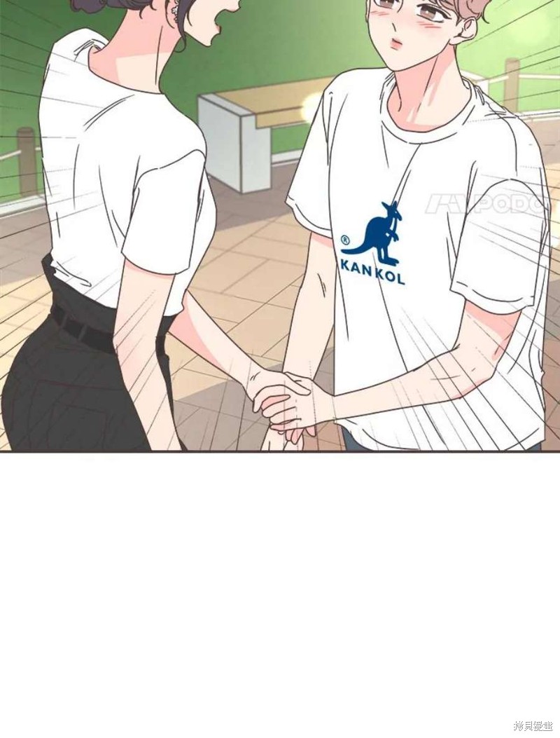 第 96 页