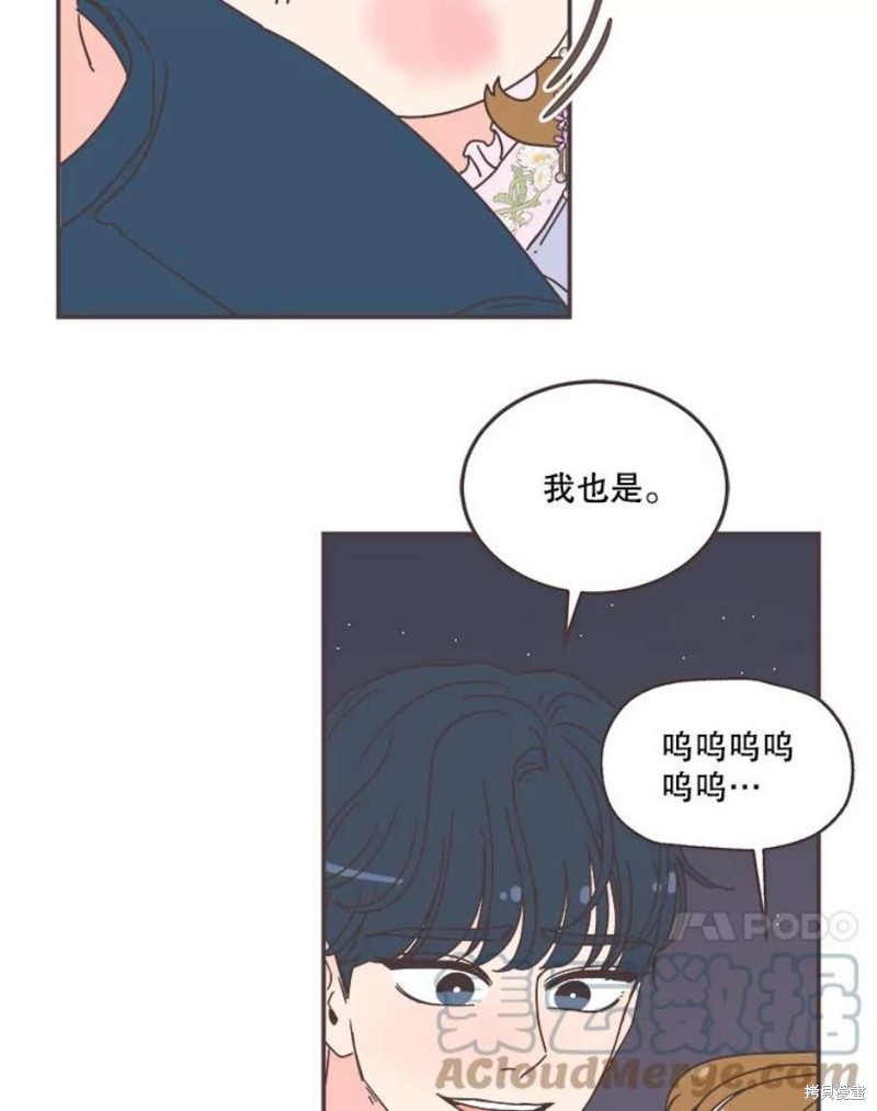 第 95 页