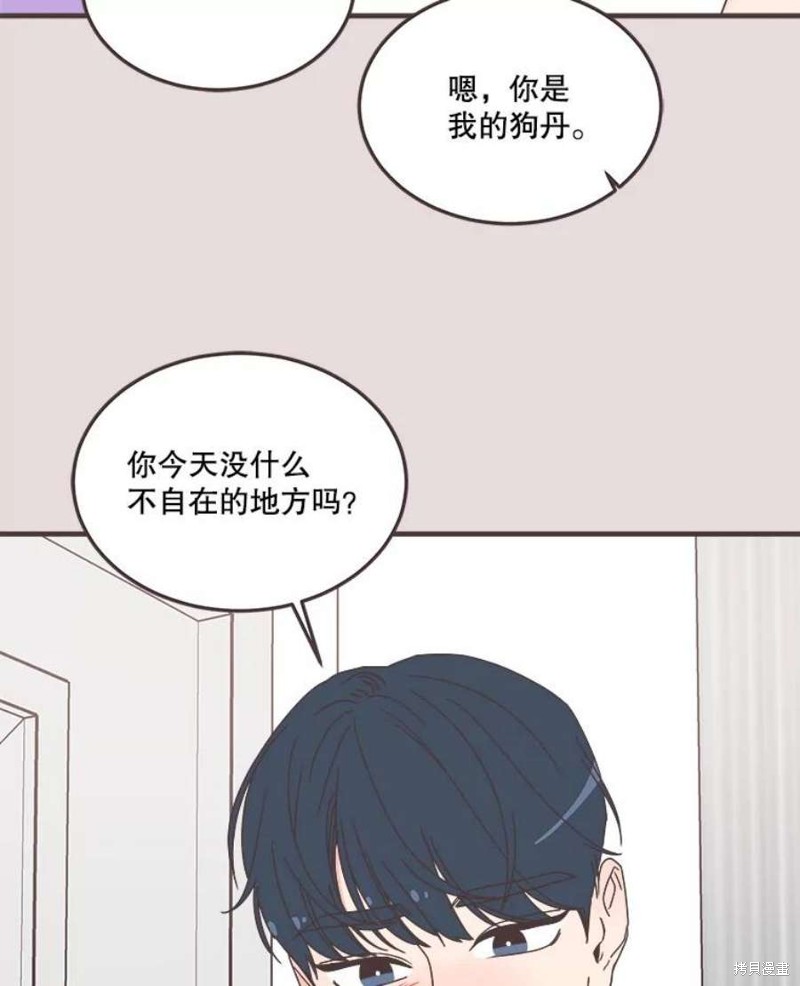 第 101 页
